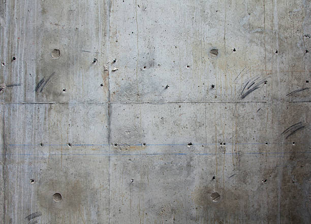 Best Concrete Removal and Replacement in Fuller Heights, FL